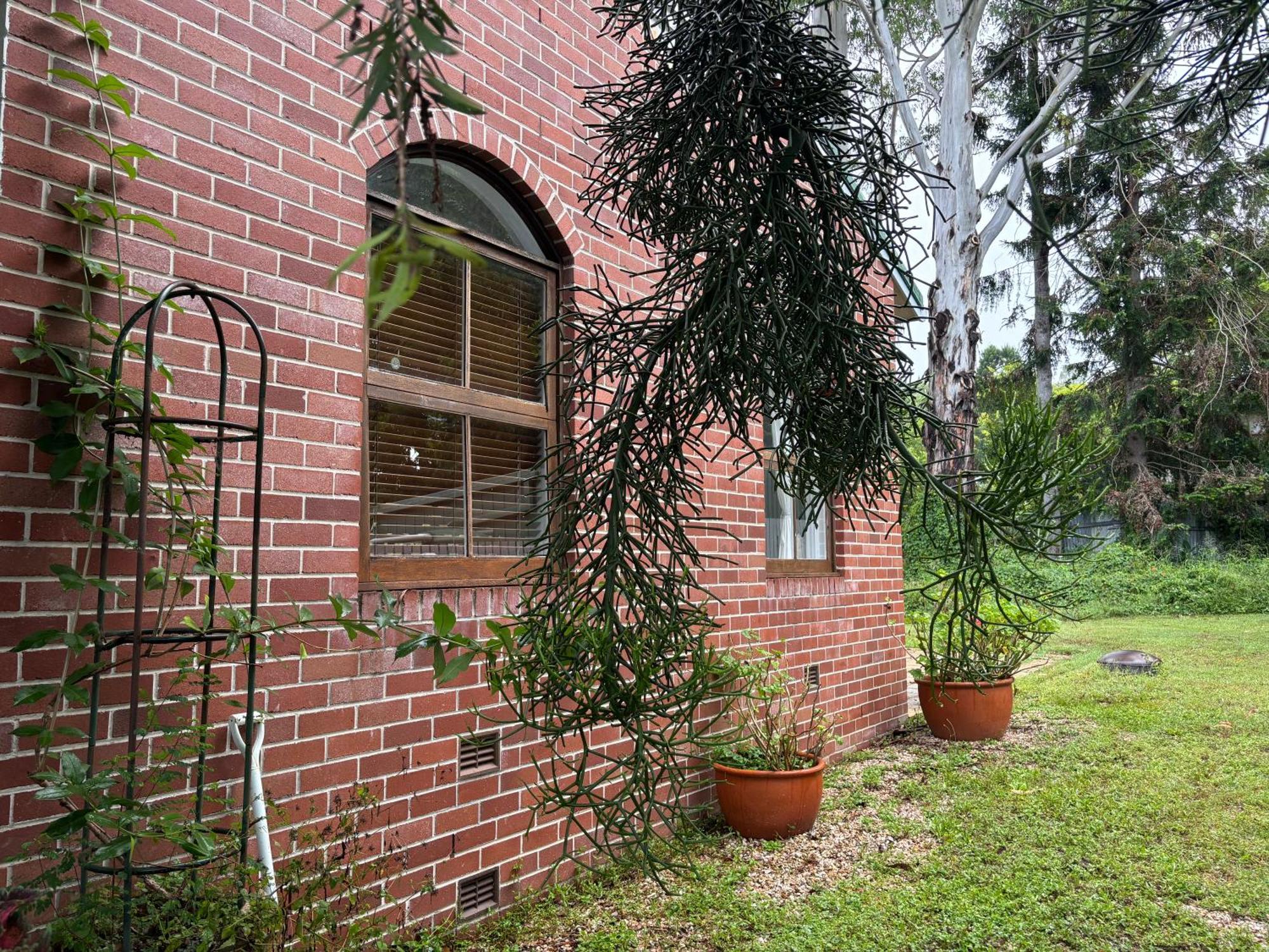 Celestial Dew Guesthouse In Tyalgum Zewnętrze zdjęcie