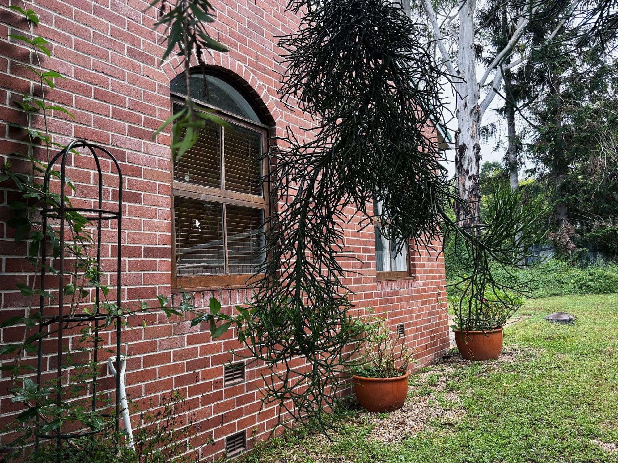 Celestial Dew Guesthouse In Tyalgum Zewnętrze zdjęcie